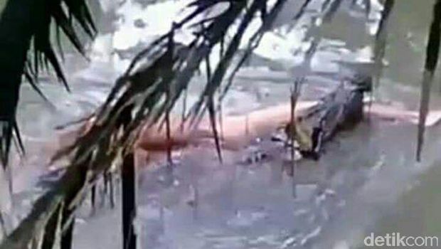 Seorang warga tewas disambar buaya saat mandi di sungai di Kalimantan TImur