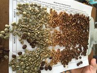 Ini Alasan Penting Kenapa Kopi Perlu Melalui Proses 'Roasting'