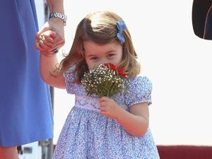 Siapa yang Mau Menemani Putri Charlotte Bermain?