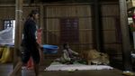 Nenek Ini Pelihara Sapi yang Dipercaya Reinkarnasi dari Sang Suami