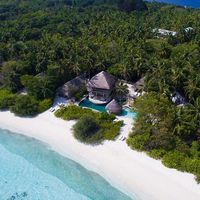 Serunya Bersantap Sambil Liat Pemandangan Hutan di Ketinggian 5 Meter!