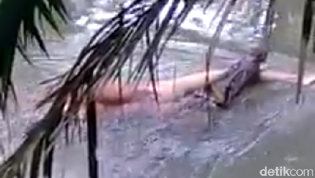 Pria tewas disambar buaya saat mandi di Sungai Lempake, Kabupaten Berau, Kaltim