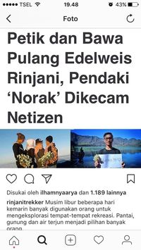 Penampakan pemetik bunga edelweiss