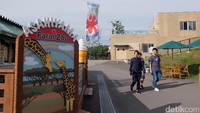 Liburan ke Hokkaido di Jepang, jangan lupa untuk mampir ke Asahiyama Zoo. Di sana traveler bisa melihat berbagai jenis fauna (Baban/detikTravel)
