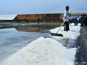 KKP: Bulan Ini Ada Panen 55.000 Ton Garam