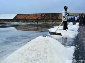 RI Tak Pernah Berhenti Impor Garam