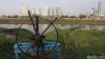 Pendangkalan Sungai, Kapan Dikeruk?