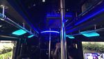 Foto: Ini Penampakan Bus Party Royal VIP yang Disita Kemenhub