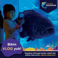 Buat Vlog Kece dan Seru, Ayo ke Jakarta Aquarium!