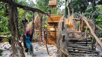 Hutan bakau buatan diusung dalam salah satu pameran Flona 2017 yang akan berlangsung hingga 21 Agustus mendatang.