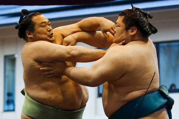 nonton sumo di tokyo pengalaman