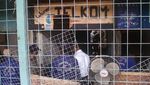 Foto: Bisnis Ini Pernah Bikin Heboh, Sekarang ke Mana Ya?