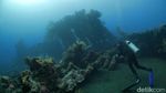 Ini 4 Tempat Diving Indonesia yang Masuk 10 Destinasi Terbaik Asia
