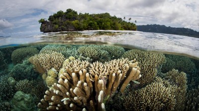 Foto: Alam Indonesia yang Bikin Bangga