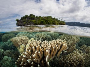 Foto: Alam Indonesia yang Bikin Bangga