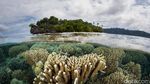 Ini 4 Tempat Diving Indonesia yang Masuk 10 Destinasi Terbaik Asia