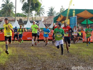 Ratusan Pelari Siap Adu Cepat di Banyuwangi Ijen Green Run