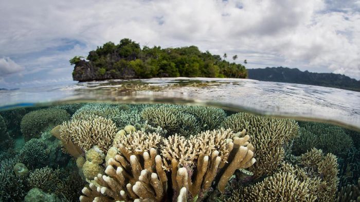 Foto: (Thinkstock) Foto: (Thinkstock)