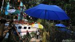 Menengok Pameran Flona yang Instagramable