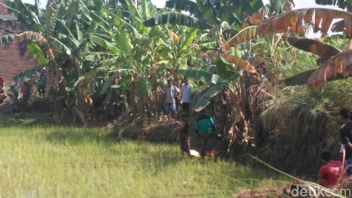 Tega! Bayi Berumur 2 Hari ini Dibuang di Sawah