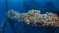 Tulamben berada di Karangasem, Bali. Di sini penyelam dapat melihat bangkai kapal USS Liberty, bekas kapal perang Amerika yang karam (Thinkstock)