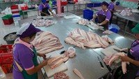 Selain kulit, peternakan juga mengolah daging buaya. Mereka juga menjual darah dan empedu buaya (Athit Perawongmetha/ Reuters)