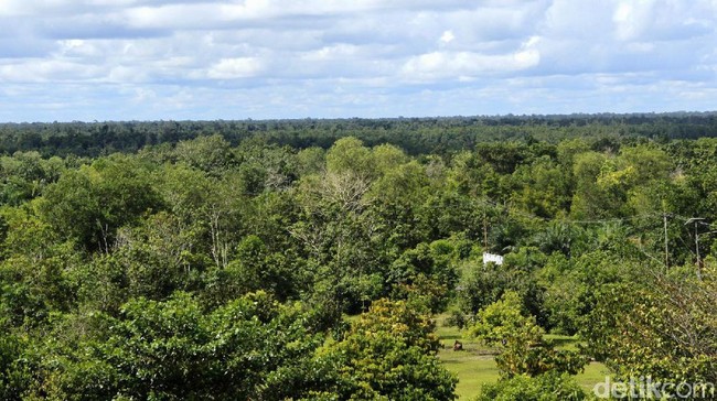 Jokowi Ajak Pilih Lokasi Ibu Kota di Luar Jawa, Pengin di Mana?