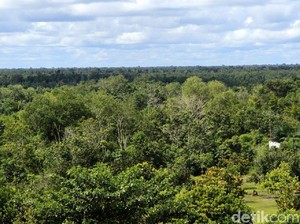 Bukit Soeharto Cocok Jadi Lokasi Ibu Kota Baru