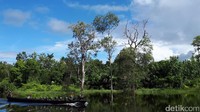 Setelah itu, dilanjutkan dengan naik boat mengikuti patroli Yonif Para Rider 503/MK. Kami mengikuti boat para tentaranya, mengabadikan perjalanan mereka yang pertama kali terekspos media (Afif/detikTravel)
