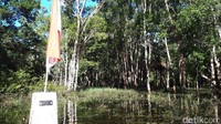 Di belakang tugu MM 12.2 itu adalah tanah Papua Nugini (Afif/detikTravel)