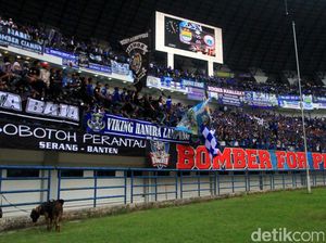 Respons Panpel Persib soal Stadion GBLA Tak Bisa Dipakai