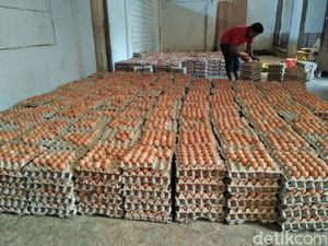 Harga Telur Ayam Naik, Kemendag: Kita Bahas dengan Pelaku Usaha