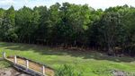 Inikah Calon Lokasi Ibu Kota Baru RI?