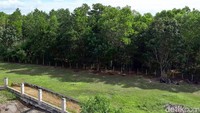 Lokasi ini berada di 3 kota/kabupaten yang ada di Kalimantan Tengah, yakni Kota Palangka Raya, Kabupaten Katingan dan Kabupaten Gunung Mas. Foto: Eduardo Simorangkir