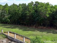 Ada Lahan 300.000 Ha untuk Ibu Kota Baru di Luar Jawa