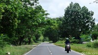 Jalan raya Tjilik Riwut sepanjang 35 km pun dilewati, hingga masuk ke wilayah Bukit Tangkiling menuju arah Sampit. Infrastruktur jalan yang dilewati mulus tanpa ada jalan yang berlubang. Foto: Eduardo Simorangkir