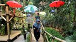 Bermacam Tanaman Hias Dipamerkan di Lapangan Banteng