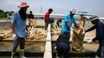 Foto : Peternakan 150 Ribu Buaya, Berani Masuk?