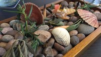 Bisa temukan mana makanan yang disajikan? Lebih mencolok batu-batuannya! (Foto: Istimewa)