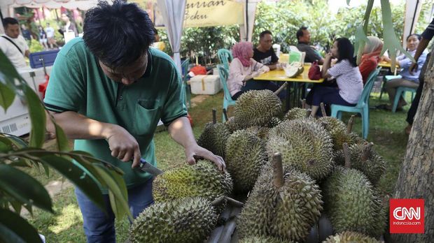 Cara Memilih Buah Durian yang Enak dan Manis