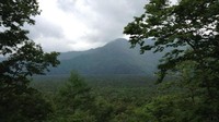 Hutan Aokigahara di Jepang ini berada di kaki Gunung Fuji. Tidak ada sinyal, dan kompas tidak akan berfungsi di hutan ini. Serta gunung ini juga tereknal sebagai tempat bunuh diri. Sudah lebih 500 orang yang melakukan bunuh diri di hutan ini. Seram! (Kujinen/BBC)