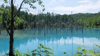Bendungan berfungsi melindungi daerah penduduk dari aliran lumpur vulkanik akibat menggeliatnya gunung api Tokachi pada 1988 (Baban/detikTravel)