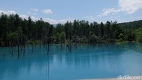 Kolam ini bukan terbentuk secara alami. Jadi kolam tersebut merupakan buatan (Baban/detikTravel)