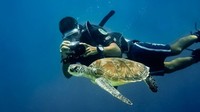 Foto: Di urutan pertama ada Pulau Sipadan di Malaysia. Memiliki keanekaragaman hayati, pulau ini mendapat banyak pujian dari banyak penyelam. Padahal, pulau ini dulunya bekas Indonesia (CNN)