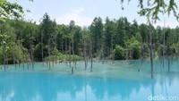 Galian menghasilkan kubangan itu bertujuan menampung lava letusan Gunung Tokachi (Baban/detikTravel)
