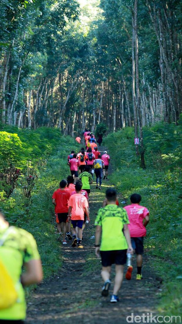 Banyuwangi Ijen Green Run 2017/
