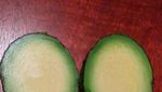 Mau Lihat Jeruk dalam Jeruk atau Telur dengan 2 Kuning?