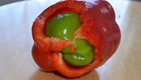 Paprika merah dan hijau tentu jenis berbeda. Tapi foto ini memperlihatkan keduanya bisa bergabung. Lihat saja ada paprika hijau dalam paprika merah. (Foto: Bored Panda)