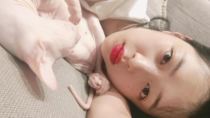Resign karena Tekanan Mental? Kamu Nggak Sendiri, Sulli f(x) Juga Mengalami