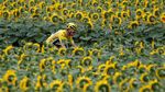 Gelar Keempat Chris Froome di Tour de France